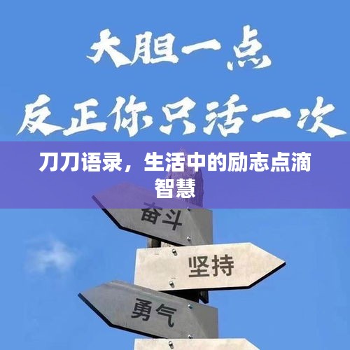 刀刀语录，生活中的励志点滴智慧
