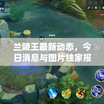 夫妻本是同林鸟
