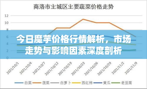 今日魔芋价格行情解析，市场走势与影响因素深度剖析