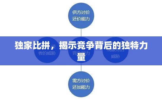 独家比拼，揭示竞争背后的独特力量