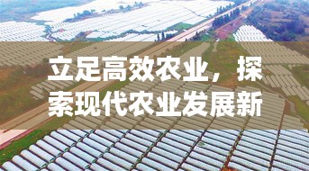 立足高效农业，探索现代农业发展新路径，未来农业的新趋势