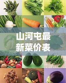 山河屯最新菜价表，蔬菜价格动态与市场深度解析