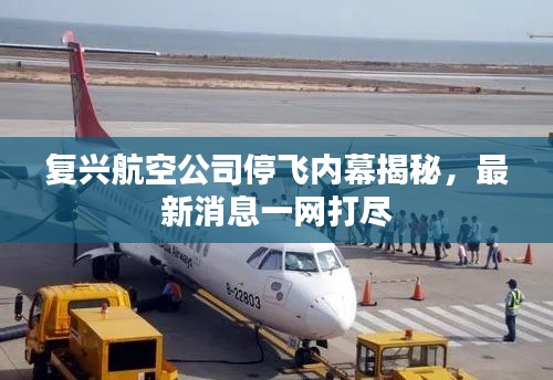 复兴航空公司停飞内幕揭秘，最新消息一网打尽