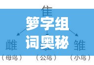 箩字组词奥秘探秘，汉字的魅力与神奇组合