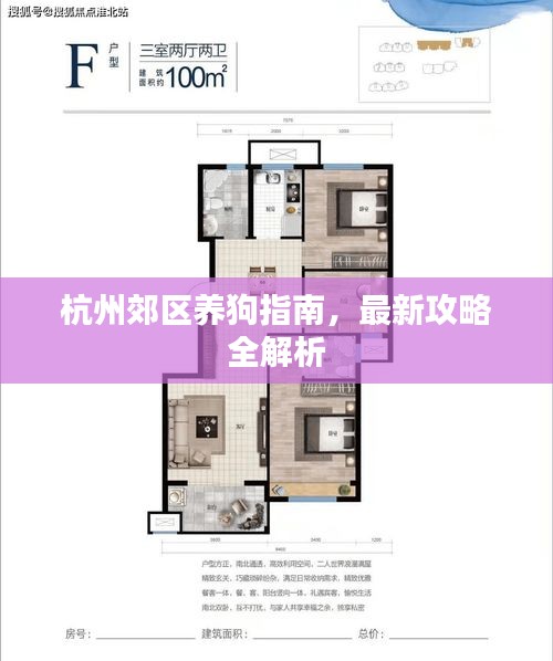 杭州郊区养狗指南，最新攻略全解析
