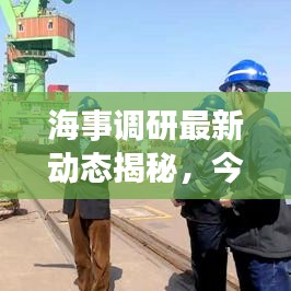 海事调研最新动态揭秘，今日消息一览