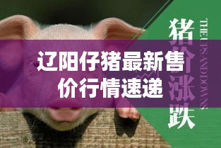 勃然大怒
