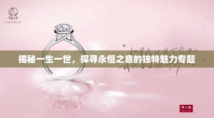 揭秘一生一世，探寻永恒之意的独特魅力专题