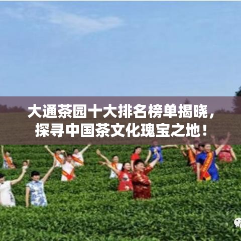 大通茶园十大排名榜单揭晓，探寻中国茶文化瑰宝之地！