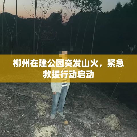 柳州在建公园突发山火，紧急救援行动启动