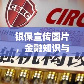伤弓之鸟
