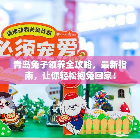 青岛兔子领养全攻略，最新指南，让你轻松抱兔回家！