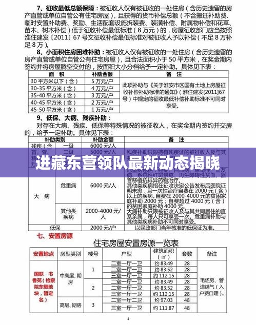 进藏东营领队最新动态揭晓