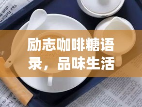 客户反馈 第14页