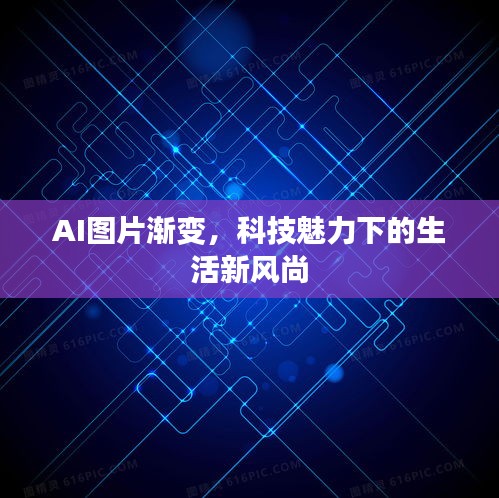 衣不兼彩