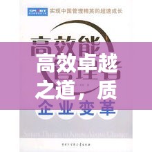高效卓越之道，质量与效率的完美融合追求卓越之路
