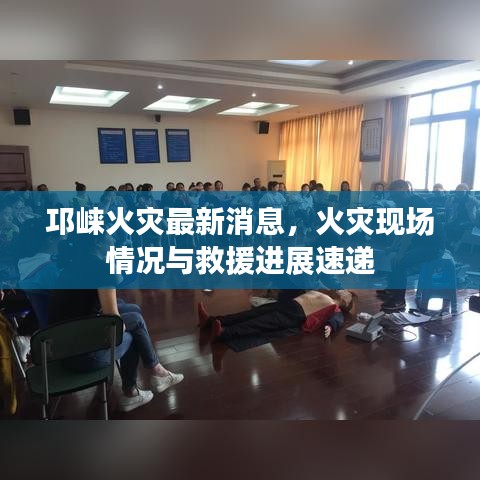 客户反馈 第13页
