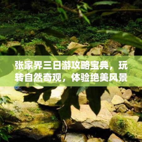 新闻动态 第15页