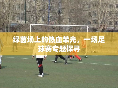 绿茵场上的热血荣光，一场足球赛专题探寻