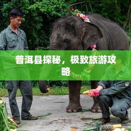 普洱县探秘，极致旅游攻略