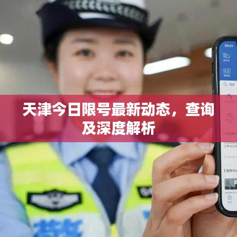 天津今日限号最新动态，查询及深度解析