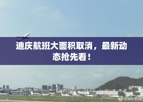 迪庆航班大面积取消，最新动态抢先看！