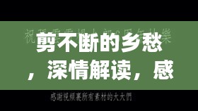 剪不断的乡愁，深情解读，感受乡愁的缠绵与共鸣