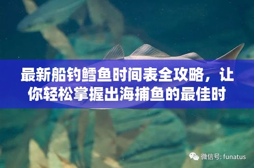 最新船钓鳕鱼时间表全攻略，让你轻松掌握出海捕鱼的最佳时机！