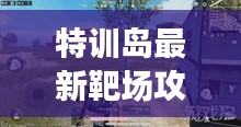 特训岛最新靶场攻略揭秘，提升射击技能，战场精英养成指南