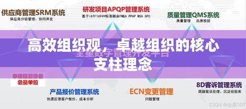高效组织观，卓越组织的核心支柱理念