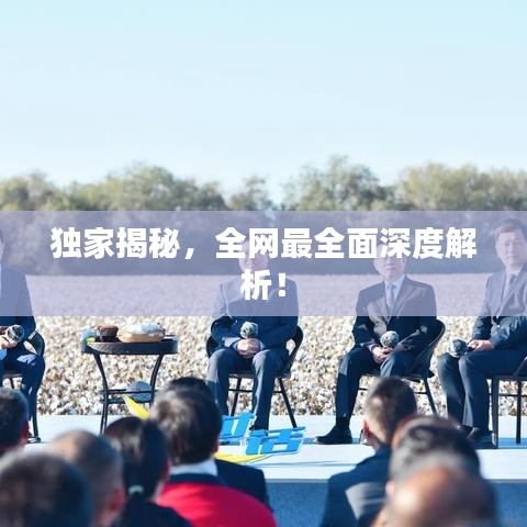 独家揭秘，全网最全面深度解析！