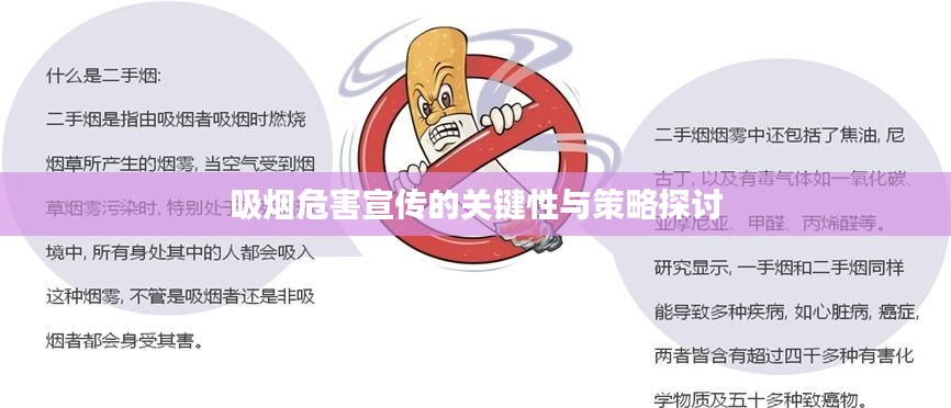 明夷于飞
