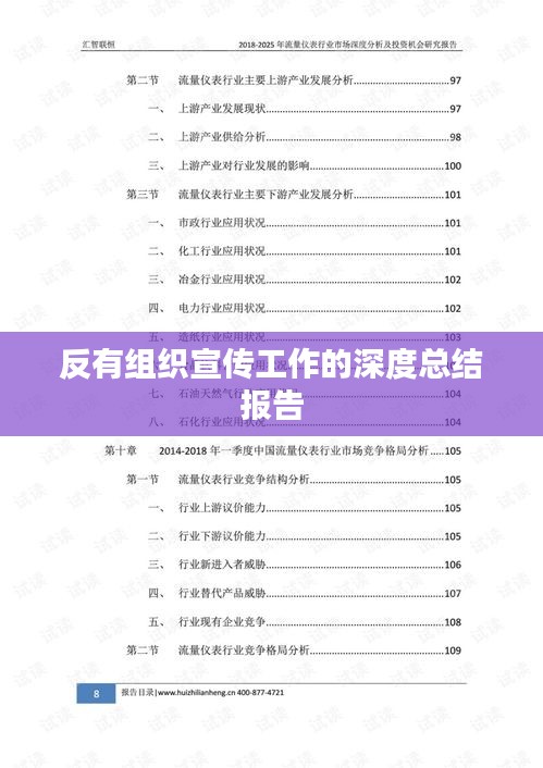 反有组织宣传工作的深度总结报告