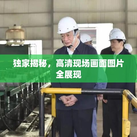 独家揭秘，高清现场画面图片全展现