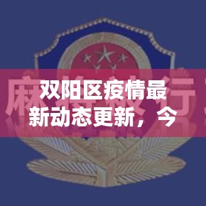 双阳区疫情最新动态更新，今日消息速递