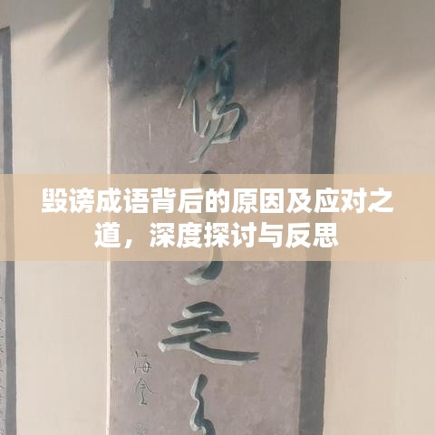 毁谤成语背后的原因及应对之道，深度探讨与反思