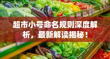 2025年4月 第5页