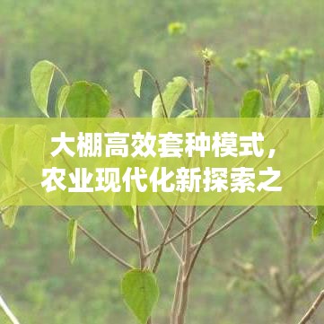 2025年5月2日 第2页
