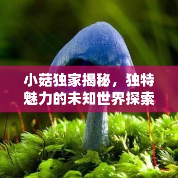 案例展示 第8页