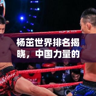 杨茁世界排名揭晓，中国力量的最新高度标杆