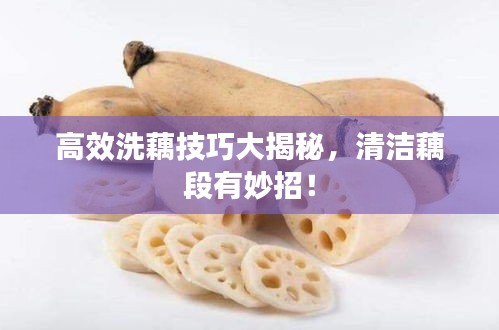 高效洗藕技巧大揭秘，清洁藕段有妙招！