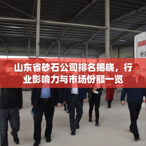 山东省砂石公司排名揭晓，行业影响力与市场份额一览