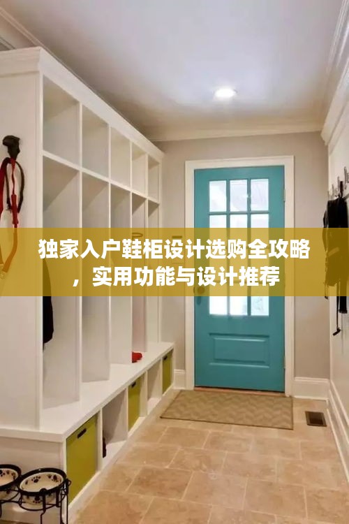 独家入户鞋柜设计选购全攻略，实用功能与设计推荐