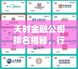 天时金融公司排名揭秘，行业领军者的成功秘诀！