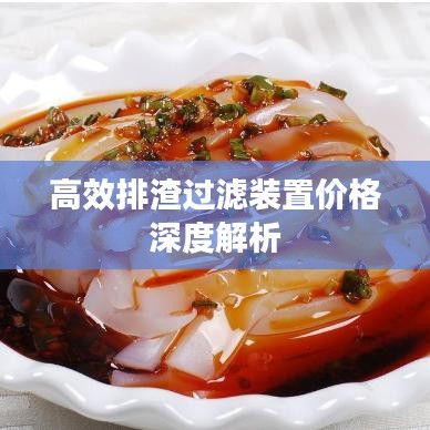 高效排渣过滤装置价格深度解析