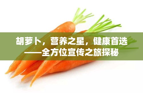 花容月貌