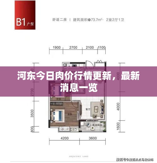 河东今日肉价行情更新，最新消息一览
