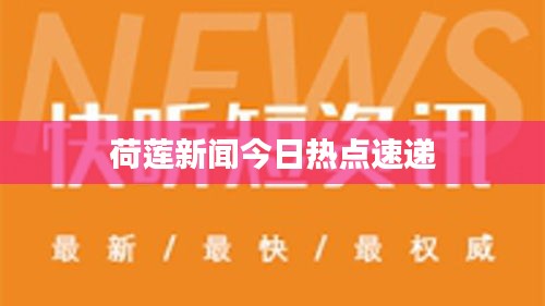 荷莲新闻今日热点速递
