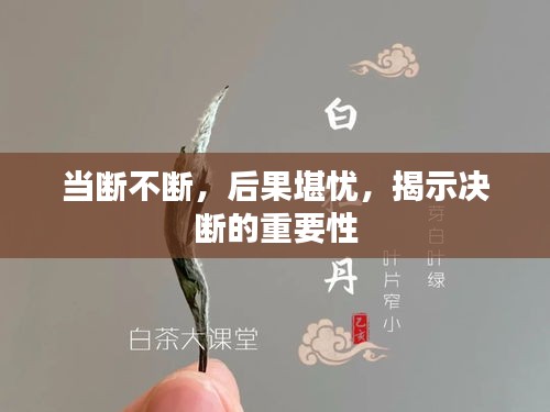 当断不断，后果堪忧，揭示决断的重要性