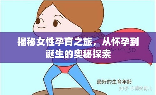 揭秘女性孕育之旅，从怀孕到诞生的奥秘探索
